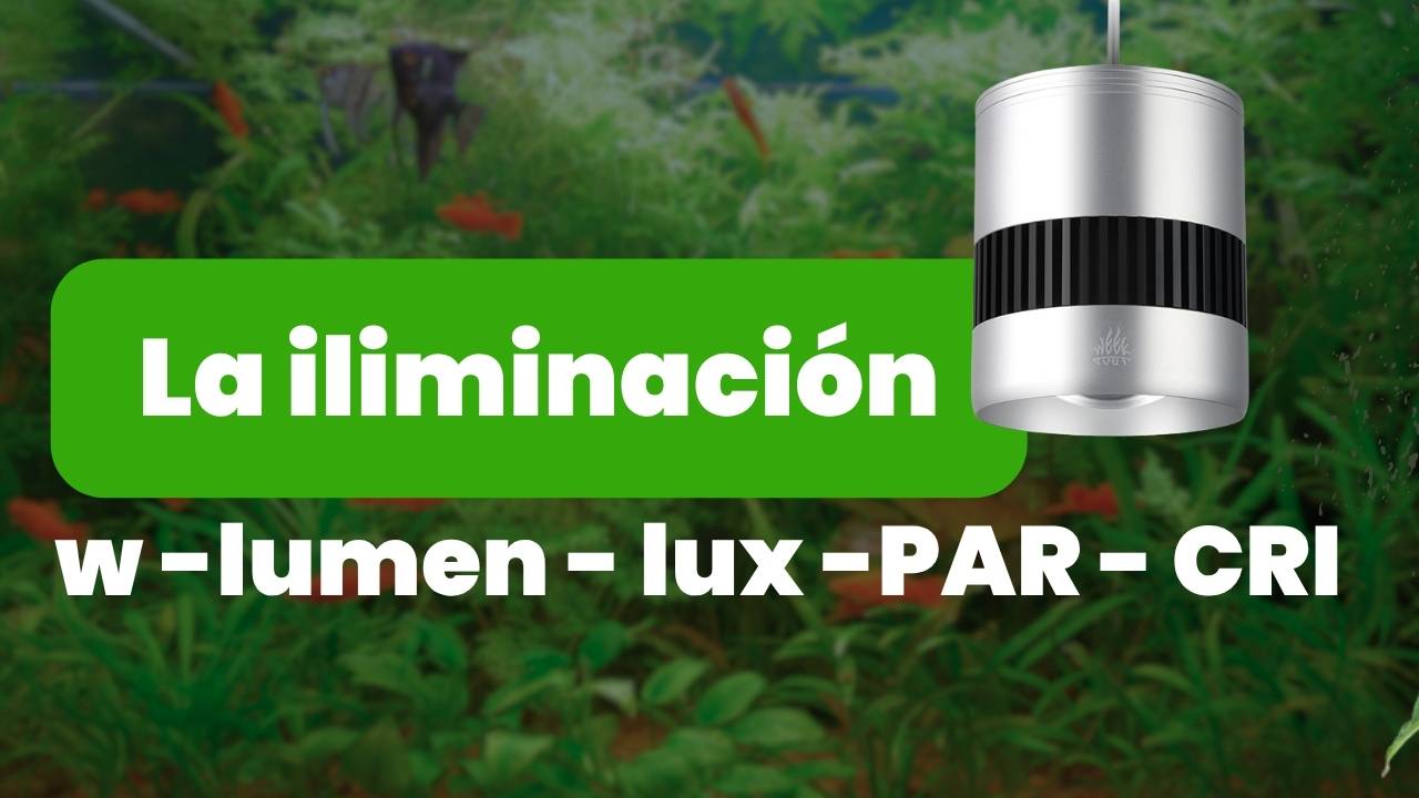 Watts, lúmenes, lux y PAR: qué significa cada uno en tu acuario
